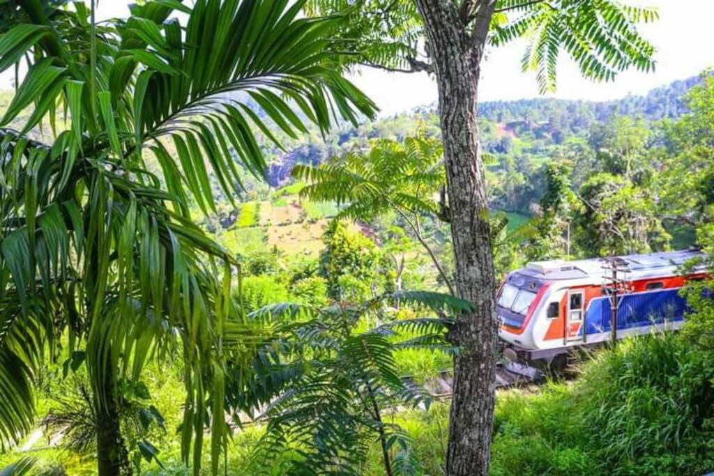 Ella Bamboo Cabana Ngoại thất bức ảnh